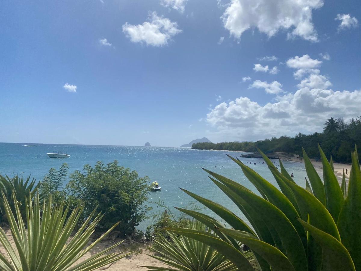 Studio Rdc La Desirade Martinique Acces Direct Plage Сент-Люс Екстер'єр фото