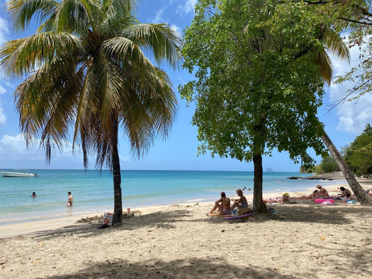 Studio Rdc La Desirade Martinique Acces Direct Plage Сент-Люс Екстер'єр фото