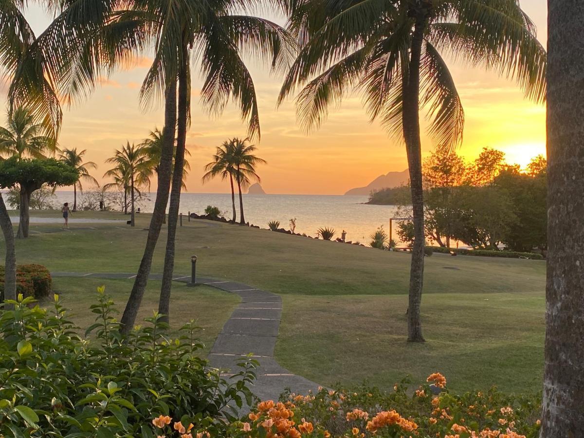 Studio Rdc La Desirade Martinique Acces Direct Plage Сент-Люс Екстер'єр фото